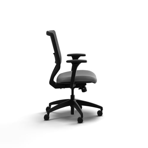 Image of HON Solve Office Chair, Ergonomic Office Chair Mesh Back Support, Adjustable Lumbar Support, Height Adjustable Arms, Black Frame, Frost