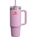 STANLEY(スタンレー) H2.0 真空クエンチャー 0.88L アメジスト 880ml 保冷 頑丈 ストロー 水筒 夏 アウトドア 食洗機可 保証 (日本正規品)