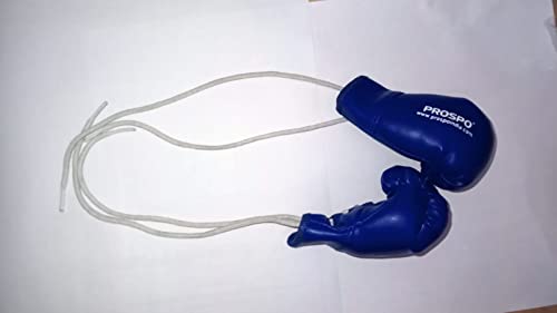 Image of PROSPO Boxing Glove Key Ring & Hanging Accessories