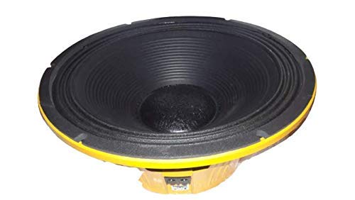BPM B plus music 18 inch speaker 