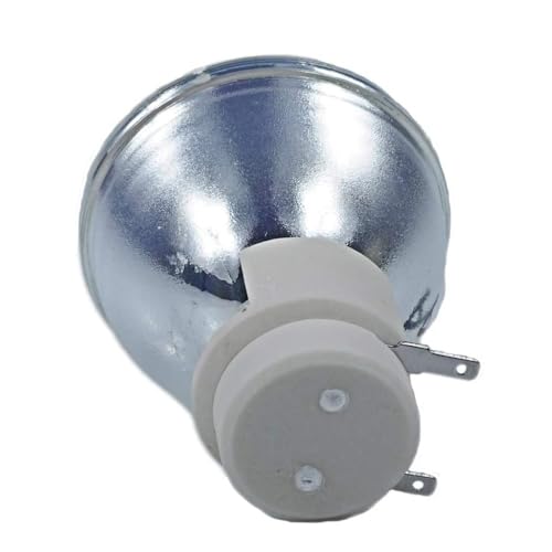 Ampoules de projecteur JN811.001 pour DWX1521 X115 X117 X125H X137H