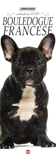 Bouledogue francese. Calendario 2026 Long