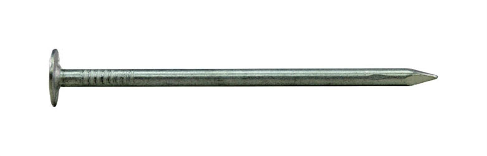 1.5 in. 5 lbs EG Roofing Nail