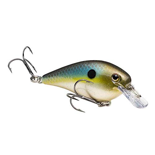 Strike King KVD Square Bill 1.0,Summer Sexy Shad, 0.03