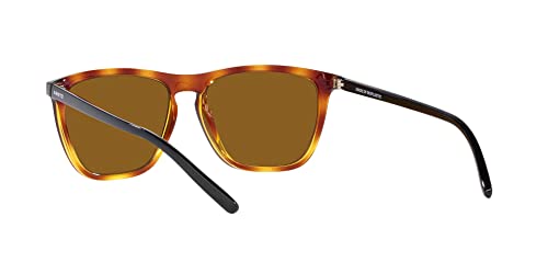 Image of ARNETTE mens An4301 Fry Cat Eye Sunglasses