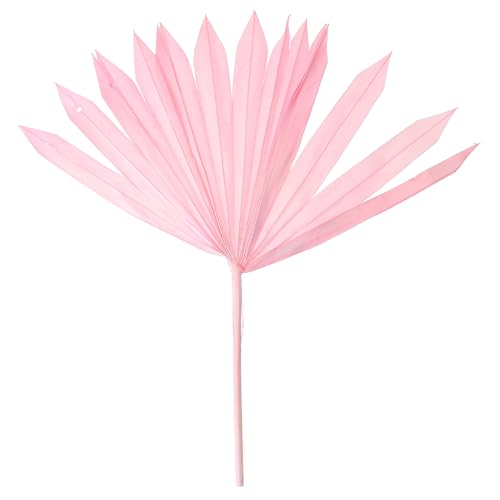Adorno de hoja de palma seca natural para decoración miniatura 1