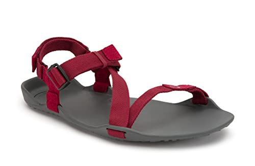 Xero Shoes Men's Z-Trek Sport Sandals - Zero Drop, Lightweight ...