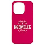 ビッグボーンリック州立公園ケンタッキーモダン-ケンタッキー州ビッグボーンリック スマホケース iPhone 15 Pro 用