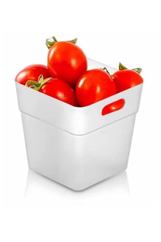 ARVALE 6 Adet Buzdolabı Kapak Içi Düzenleyici Organizer 6'lı Buzdolabı Içi Düzenleyici Ve Banyo Organizeri