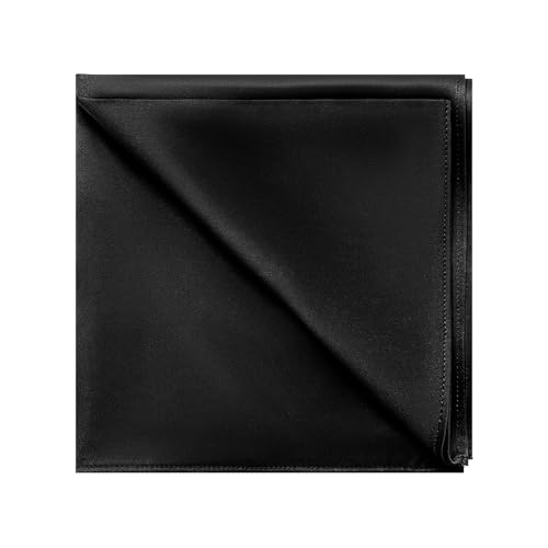 DAISYSILK 100% Mulberry Silk Pocket Squares for Men,...