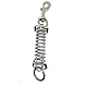 Yangbaga Ruckdämpfer Ruckfeder Hundeleine Druckfeder Verchromt für Hunde klein bis mittel Ringe und Karabiner Kostenlos (2.5 * 8cm)