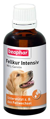 BEAPHAR - Fellkur Intensiv Für Hunde - Haut- Und Fellpflege - Mit Vitaminen B1, B2, B6, B12, E, L-Carnitin - Unterstützt U.A. Den Fellwechsel - 50 ml BEAPHAR - Fellkur Intensiv Für Hunde - Haut- Und Fellpflege - Mit Vitaminen B1, B2, B6, B12, E, L-Carnitin - Unterstützt U.A. Den Fellwechsel - 50 ml