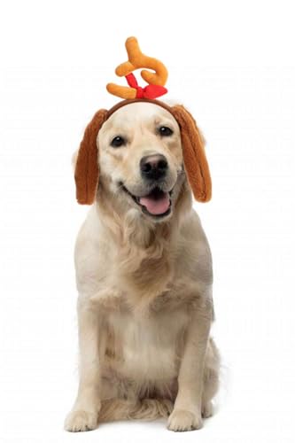 Disfraz con orejas de perro peludas para Halloween miniatura 3
