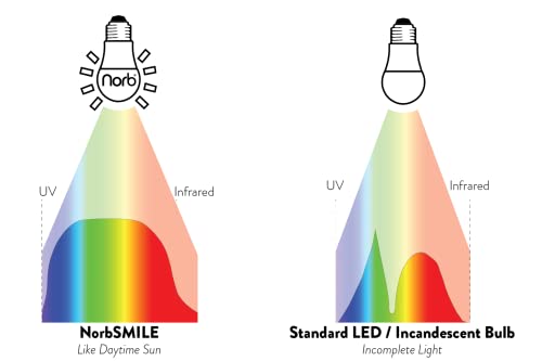 Norbsmile Full-Spectrum “Sunlike” Premium A19 Led Light Bulb. Boosts Energy, Mood & Performance. Supports Circadian Rhythm. Near-Perfect Color Rendering. Patented Technology Us Based (1-Pack) #TOP3