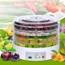 Delavala Acrylic Plastic Vegetable Dryer Dehydrator Computer Controlled Food Machine with 5 Tray Adjustable Thermostat (White, Standard Size)