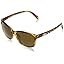 Tortoise / Polarized Brown