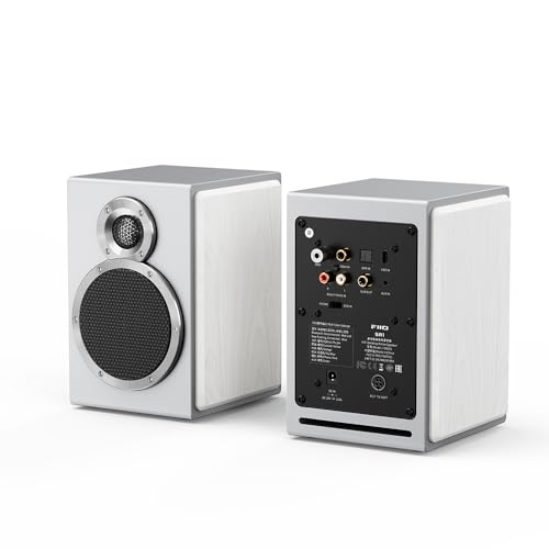 FiiO SA1