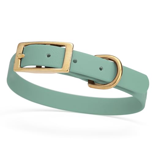 Image of Viper Biothane Heavy Duty Waterproof Dog Collar Strong Coated Nylon Webbing w /Solid Brass Hardware Odor-Proof Easy to Clean High Performance Fits Small Medium or Large Dogs, Sage Green