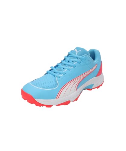 Image of Puma Mens Spike 24.2 Cricket Shoe
