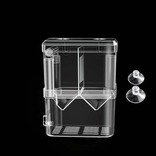 ^NɐBA15*15cmuANZT[AnO\ȃu[_[eAWGr̃Obs[ƃx^A[tBbV̕ɍœK (_u[ij)