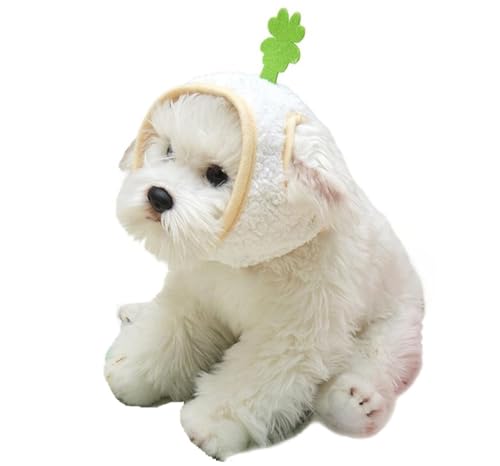 AttRex ybg NX}X  L Xq H~  giJC 蕨 nbg ӂӂ h ^p p[eB[ j RX`[ RXv  LOBe (S,O[)