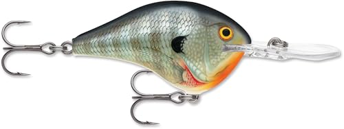 Rapala Dives-to Crankbait – Diving Hard Bait Lure – 2-1/4", Bluegill