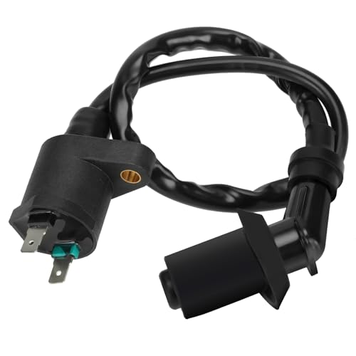 HIAORS GY6 Ignition Coil for 50cc 70cc 110cc 150cc TaoTao