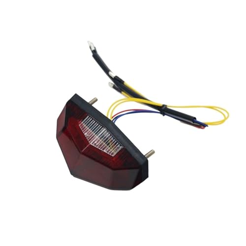 Conjunto de luz trasera de motocicleta LED con óptica ahumada