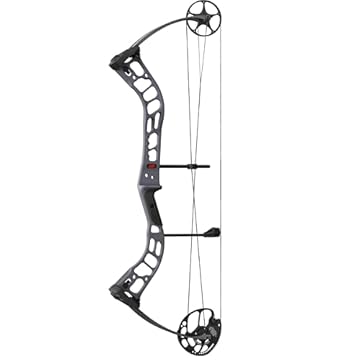 compound bow pse stinger