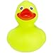 Komodo Rubber Duck Toy for Aquatic Turtles, Assorted Colors