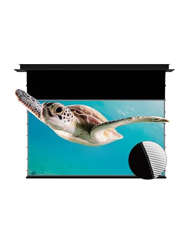 VIVIDSTORM Since 2004-72