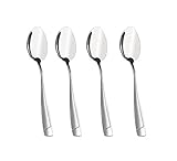 Cand 16 Pieces Stainless Steel Dessert Spoons, 6.69-Inch