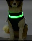 Das Kanten-Design: die Brustkante des Mesh-Hundes übernimmt das Kanten-Design-Verfahren, das den Hund nicht verletzt, den Hund angenehm zu tragen macht, atmungsaktives Mesh, Sandwich-Gewebe verwendet, den Hund im Sommer frisch und atmungsaktiv trägt, nicht schwitzt .