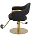 Buy-Rite Luna Gold Styling Chair for Professional Salons & Barbershops, Black Vinyl, Gold Hydraulic Base & armrests, Detailed Stitching, Seamless Cushions, Adjustable Height, YLG-356-1-GOLD-2