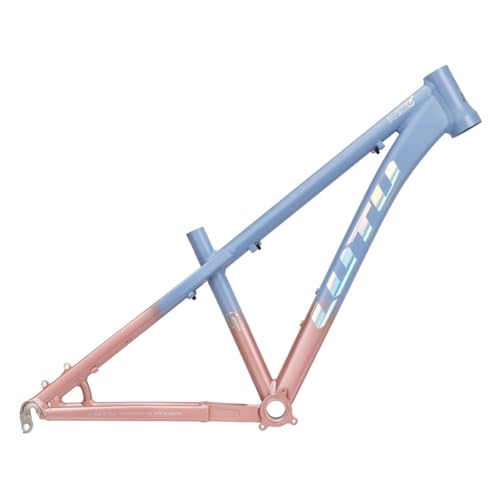 14in Dirt Jump Bike Frame 26/27.5" Aluminum Alloy BSA BB73mm