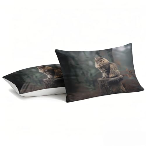 Parure de lit 240x260 chat noir et vert avec housse de couette et taies - 4