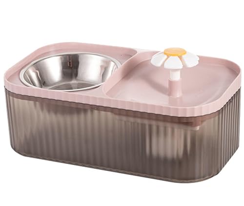 Fuente de agua y comedero 2-en-1 para gatos 3L