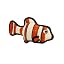 Orange White Fish