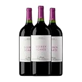 Eguren Ugarte Rioja Crianza Botella Magnum 1,5 L Vino tinto (Caja de 3 Botella Magnum de 1,5 L)