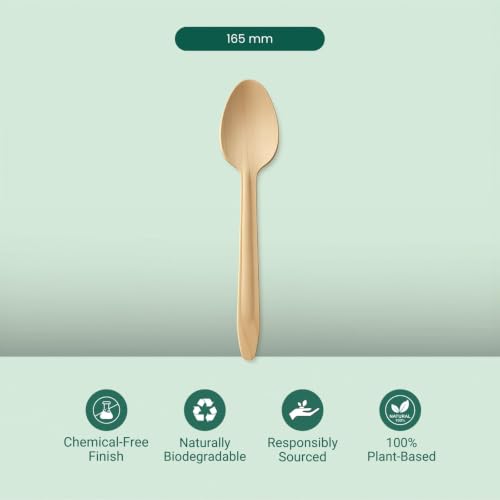 Image of Eco Aaroyaa Wooden Spoons - Disposable Eco-Friendly Wooden Spoon - Natural Wood, Smooth Splinter-Free Finish, Strong & Lightweight Disposable Spoon (165 mm, Pack of 100)