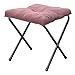 Menolana Footrest Fishing Seat Multipurpose Space Saving Easy to Carry Camping Chair Portable for Barbecue Lawn Hiking Fishing Camping, Pink