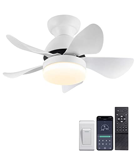 7Pm Small Ceiling Fan With Light 30" Smart White Ceiling Fan With Remote & App Control Dimmable Led Ceiling Fan 2160 Lumens 22W 6 Wind Speeds 5 Blades Quiet Modern Ceiling Fan For Kids Room Bedroom #TOP16