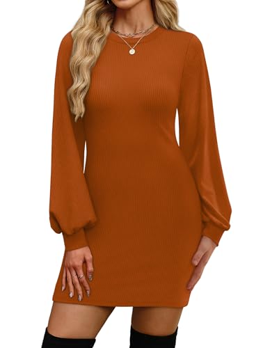OFEEFAN Work Dresses for Women 2025 Fall Clothing...