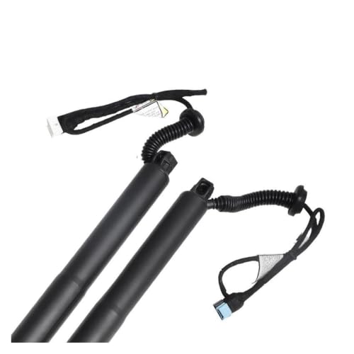 Vérin hydraulique support de levage hayon électrique pour BMW X6 - 4