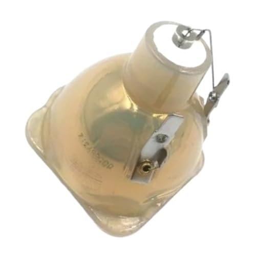 Ampoule de projecteur 310 245W 1.0 E21.7 pour TH503 pièce de rechange