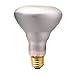 Bulbrite 50BR30FL2 50-Watt 120-Volt Incandescent BR30 Indoor Reflector, Flood