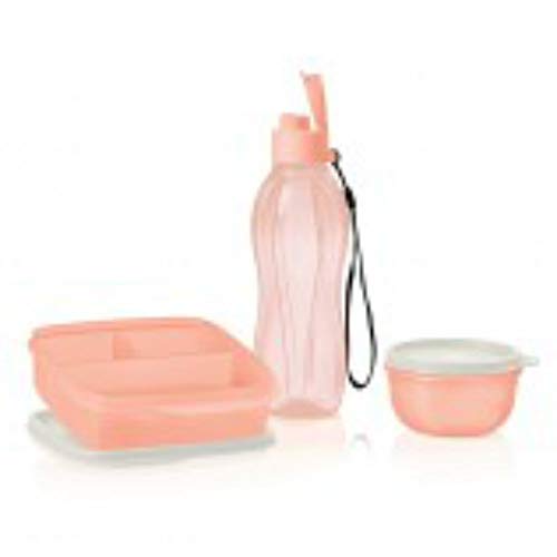 Lunch Snack Divided Portable Eco Water Bottle Set Pink