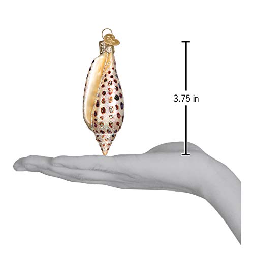 Old World Christmas Junonia Shell Glass Blown Ornament for Christmas Tree, Handcrafted Holiday Decoration, Seashell Collection