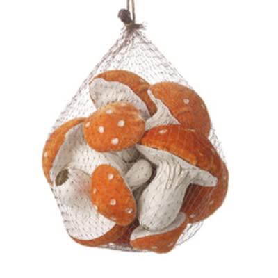 Heaven Sends Orange Bag Of Velvet Spotted Toadstools