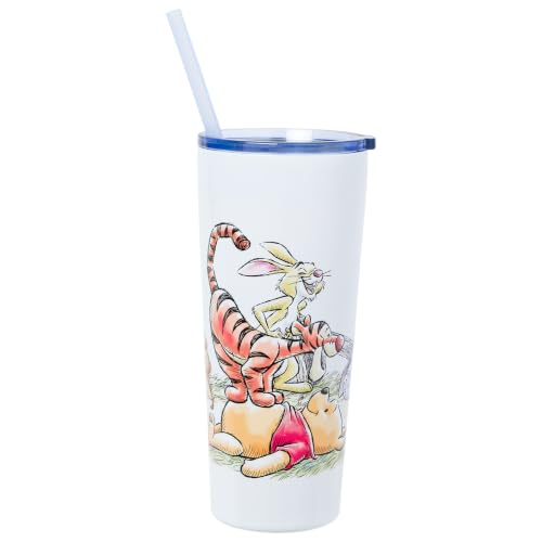 Silver Buffalo Disney Winnie the Pooh, Stainless Steel Tumbler, 22oz